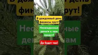 #деньги