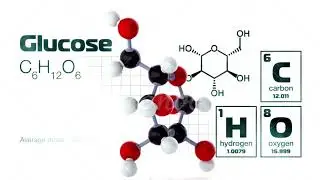 The Power of Immortality Using Water 💦 Fat Glucose and Protein #fat #shorts #motivation