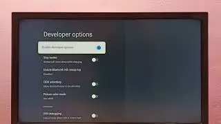 SANSUI TV : How to Enable Developer Options and USB Debugging Mode | Android TV | Google TV