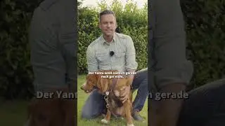 Aufgeregter Hund? So beruhigst du ihn sofort!