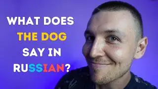 Can You Guess These Russian Sounds? Onomatopoeia Quiz 🎤🐝