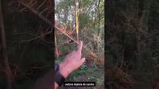 Ruiny zamku Vlčinec w Czeskich Górach Stołowych.