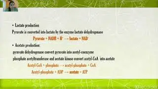 Lecture on - Fermentative Bacteria