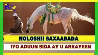 NOLOSHII SAXAABADA IYO SIDA AY U ARKAYEEN NOLOSHA ADUUNKA.