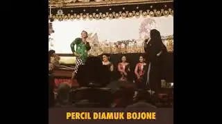 AJURRR..!!!PERCEL DI AMUK BOJONE😂