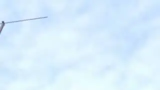 Птица радует меня опять в небе 24 02 2024 г