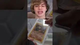 Graded Charizard Pokemon Card Collection Part 5  #pokemon #pokemoncards #viralvideo