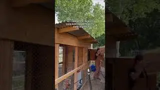 Mini Morning Backyard Homestead Vlog!