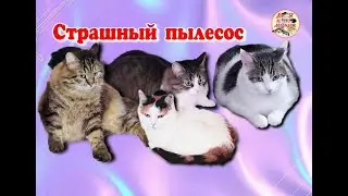 Страшный пылесос. Scary vacuum cleaner.