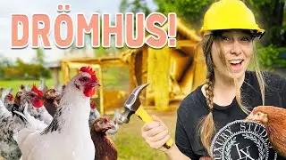 Vi skaffar höns | Del 3