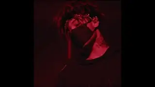 [FREE] SCARLXRD x BRUTEI x PROJECT x MUPPY - 
