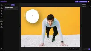 Elements / Palleon - Image Editor