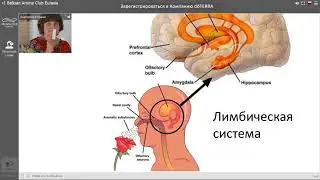 Как отвечать на типичные возражения в ароматерапии», 20180219