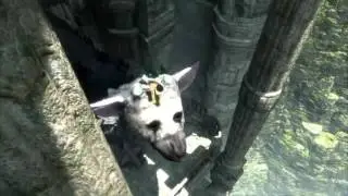 The Last Guardian