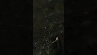 Это история о том... #tarkov