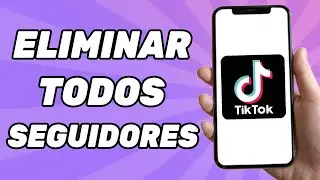 Cómo Eliminar a Todos Tus Seguidores de TikTok (2024)
