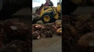 Skiil truck truck viraall #shorts