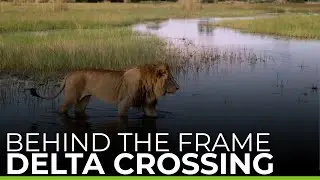BEHIND THE FRAME | Delta Crossing