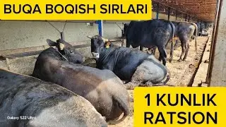 BUQA BOQISH SIRLARI, #1 KUNLIK RATSION, 
