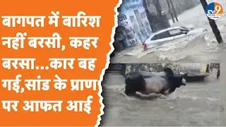 Baghpat में पहाड़ों वाली बारिश का नजारा, देखते ही देखते बह गई गाड़ियां! Viral Video I