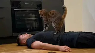 When You Have A Cat With 200 IQ 😲