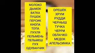 Имена для хомяка!