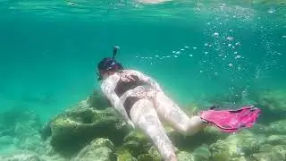 South Coast Snorkelling Trip 2021-2022
