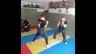 ninjutsu joint locks submission takedowns drills