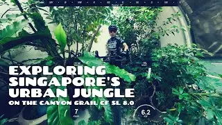 Exploring Singapore's Urban Jungle on the Canyon Grail CF SL 8.0