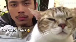 Me vibing with 7 😎😎