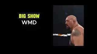 PUNCH Finisher - Who Did It Best?