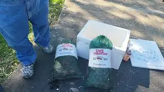 Opening bags of LIVE Louisiana Crawfish Boil.