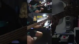 #bass #cover #บุษบา