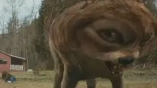 ЧТО ТАКОЕ АУФ?