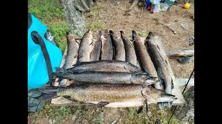 Карелия 2023. Летний выезд.