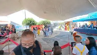 19 de agosto de 2024