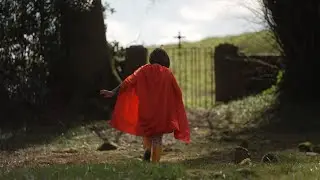 Irish Chamber Orchestra | I Create Online | ETERNAL BLOOMS