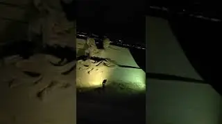 低光源超防抖V3 S20+