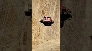 ВЕСЕЛАЯ ДЕРЕВЕНСКАЯ ЖИЗНЬ 