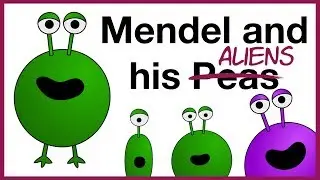 Mendel and Heredity