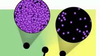 Phase Diagrams and the States of Matter