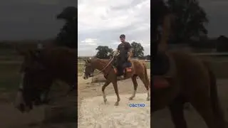 Терский казак.