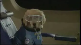 SUPERCUCCIOLI NELLO SPAZIO