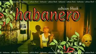 ADRIAN BLACK - HABANERO (Official Video) prod. Aram