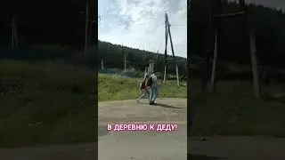 НА КАНИКУЛЫ В ДЕРЕВНЮ 