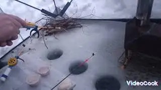 ждем вечернюю густеру. февраль 24го, волга.