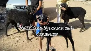 Quality Wale Karnatak Mande Available Contact:-83286 61867