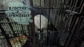 Сын вернулся домой⁉️А надолго ли ❓️❓️