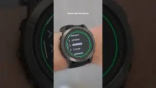 Garmin Epix Pro