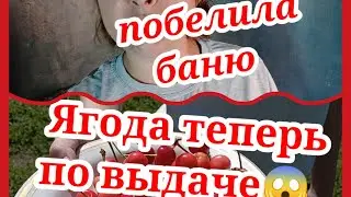 Разозлили мать/одна с детьми/побелила баню/Angered the mother/whitewashed the bath/